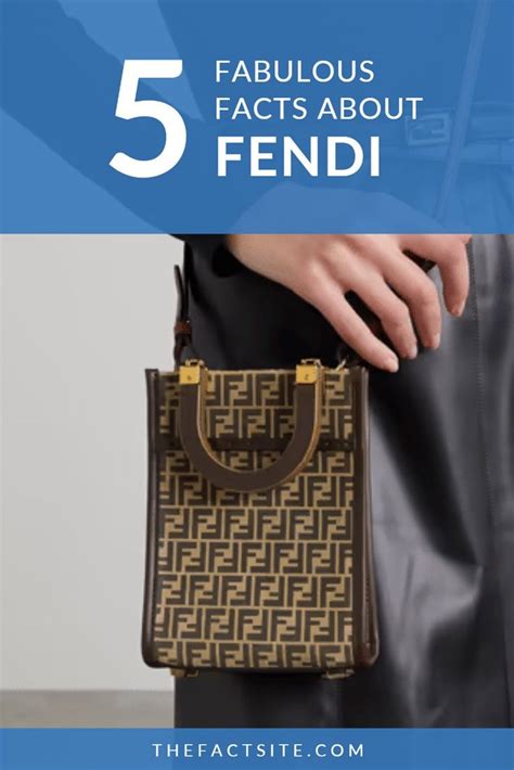 fendi facts